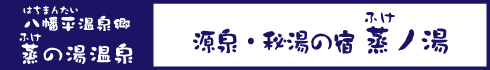 源泉・秘湯の宿 蒸ノ湯